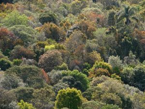 DIVINO NÉCTAR - CRIAÇÃO DA RPPN DIVINO NÉCTAR