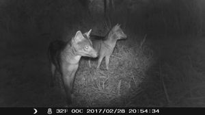 CRIAÇÃO DA RPPN DIVINO NÉCTAR