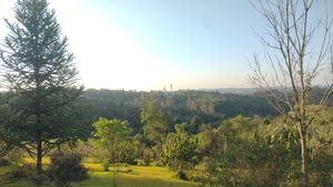 CRIAÇÃO DA RPPN DIVINO NÉCTAR imagem 7