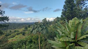 CRIAÇÃO DA RPPN DIVINO NÉCTAR imagem 6