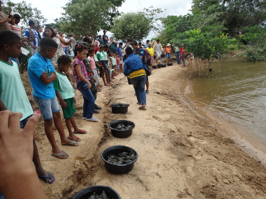 Meio ambiente - Educação Ambiental e Manejo Sustentável de Quelônios na Amazônia Oriental