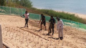 Educação Ambiental e Manejo Sustentável de Quelônios na Amazônia Oriental imagem 8