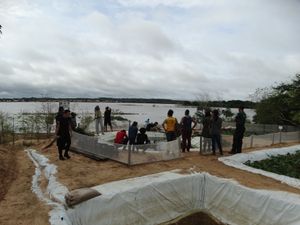 Crowdfunding - Educação Ambiental e Manejo Sustentável de Quelônios na Amazônia Oriental