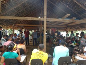 Educação Ambiental e Manejo Sustentável de Quelônios na Amazônia Oriental imagem 9