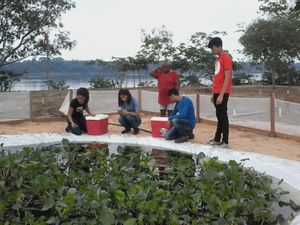 Marabá/PA - Educação Ambiental e Manejo Sustentável de Quelônios na Amazônia Oriental