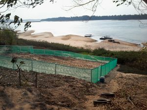 Educação Ambiental e Manejo Sustentável de Quelônios na Amazônia Oriental imagem 7