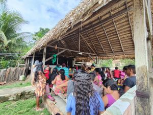 Ajude a reconstruir a Maloka da Aldeia Tucumã Tupinambá