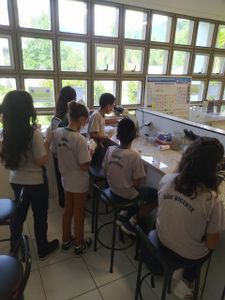 apoiando o projeto Centro Aprendiz de Pesquisador (CAP) imagem 9