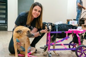 ONGs - Contribua com o Cãodeirante