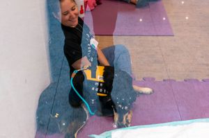 Assinatura e Recorrência - Contribua com o Cãodeirante