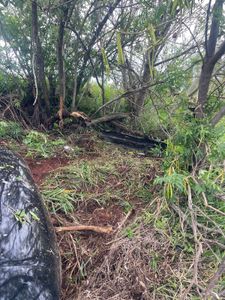 Crenças e Religião - Colo de Deus: Unidos por um Missionário