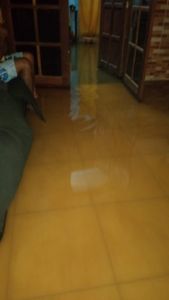 Ana Lúcia  - Salvar minha casa