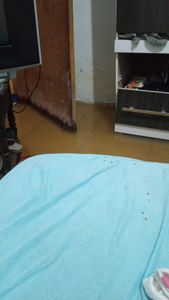 Saúde e Emergências - Salvar minha casa