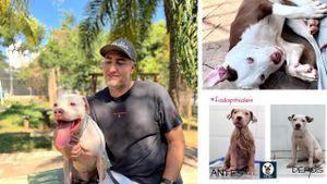 Campanha para honrar nossa equipe.