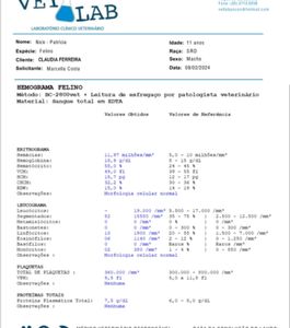 Caridade e Filantropia - Quimio do gatinho guerreiro