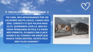 Pré-venda Coletiva - Pré-venda do livro “Histórias que salvam vidas” e livros de colorir: alimentando e cuidando dos animais.