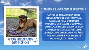 Animais - Pré-venda do livro “Histórias que salvam vidas” e livros de colorir: alimentando e cuidando dos animais.