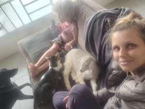 Animais - SOS Cabrito Torinho (RIFA)