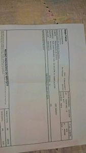 Unidos pela Meg imagem 6