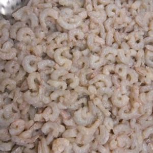 sss - Com R$ 100,00 Seja sócio de um barco pesqueiro