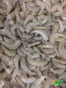 Carapebus/RJ - Com R$ 100,00 Seja sócio de um barco pesqueiro