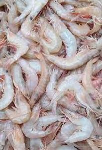 Empreendedorismo e Pequenos Negócios - Com R$ 100,00 Seja sócio de um barco pesqueiro