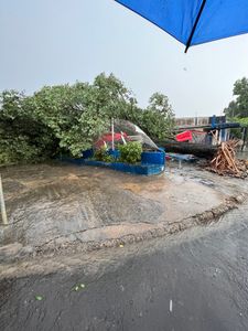 Meio ambiente - Recuperação do depósito 