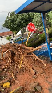 Mairton Depósito de gás  - Recuperação do depósito 