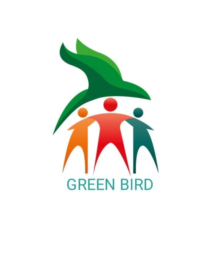 Criação da ONG Green Bird - 