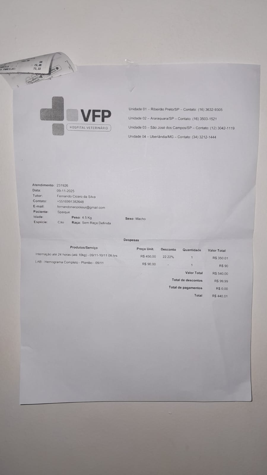 Ajude o Spaique a Vencer a Parvovirose – Uma Luta Pela Vida 🐶 imagem 9