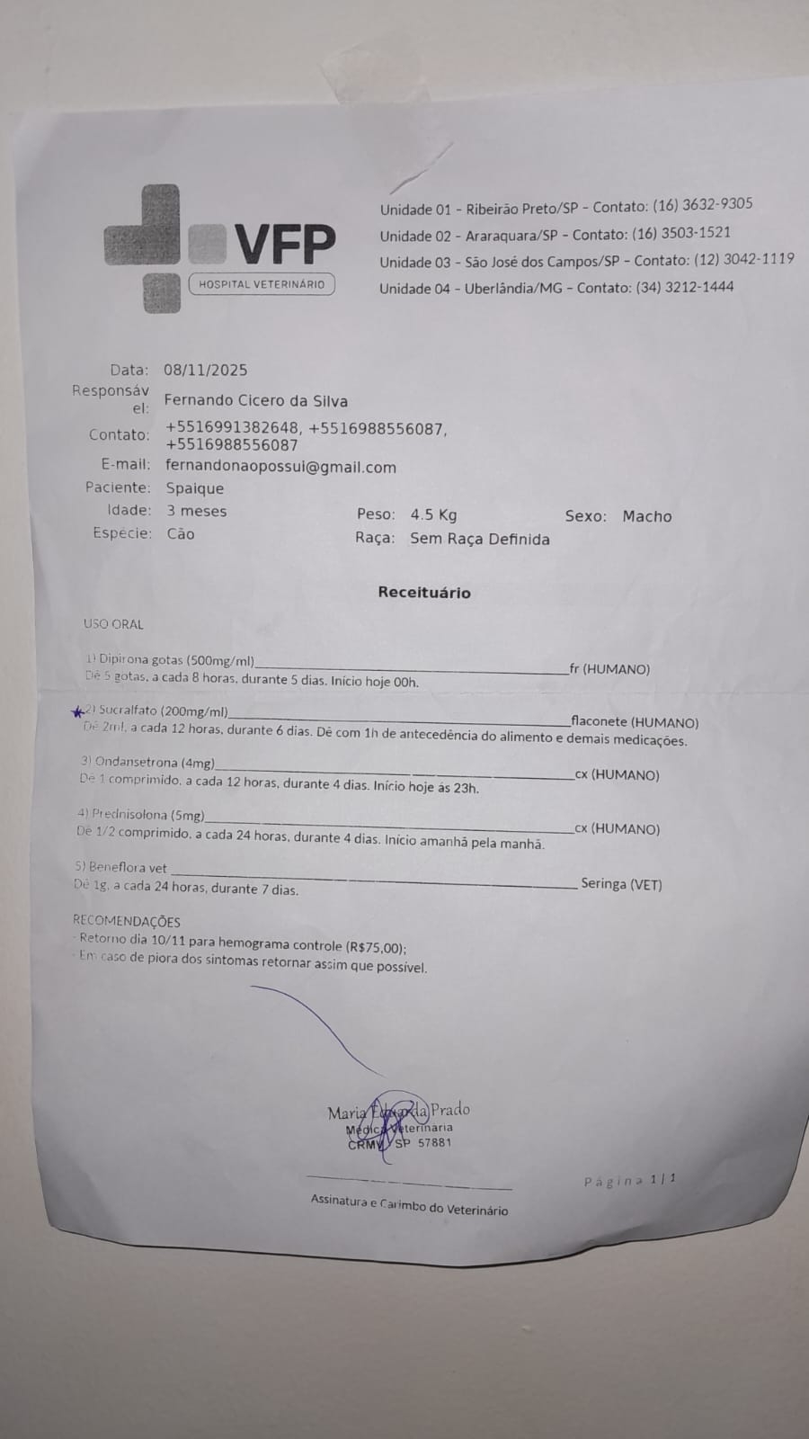 Ajude o Spaique a Vencer a Parvovirose – Uma Luta Pela Vida 🐶 imagem 7