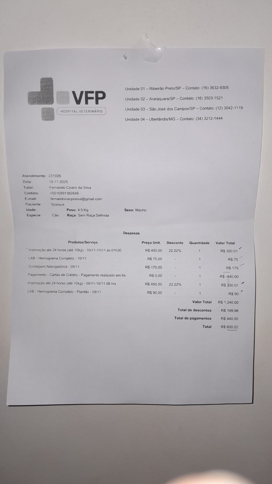 Ajude o Spaique a Vencer a Parvovirose – Uma Luta Pela Vida 🐶 imagem 8