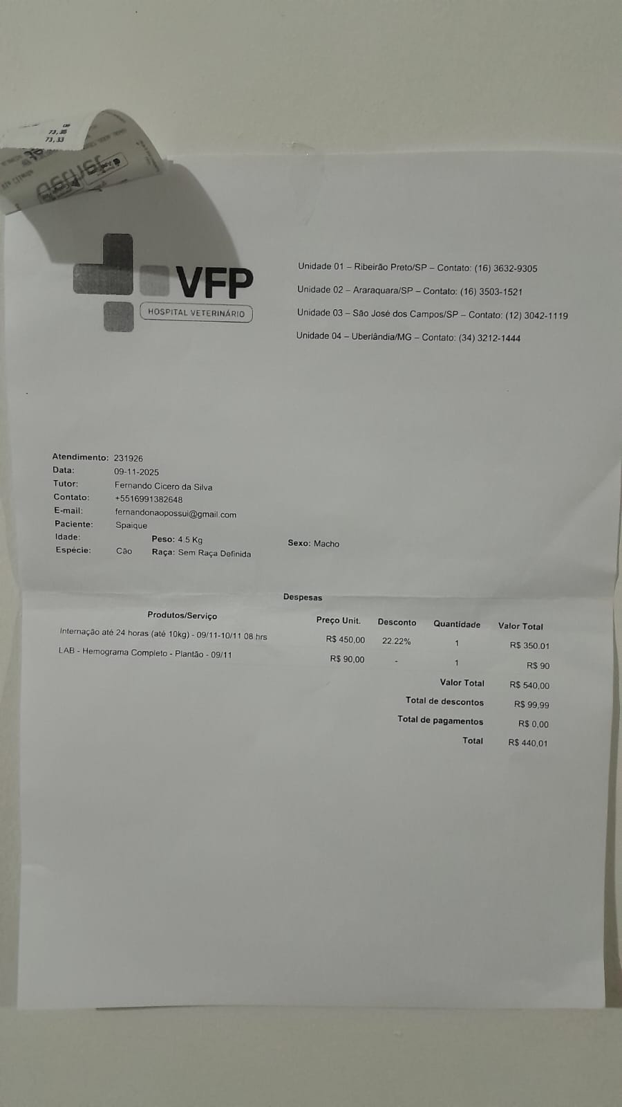 Ajude o Spaique a Vencer a Parvovirose – Uma Luta Pela Vida 🐶 imagem 10