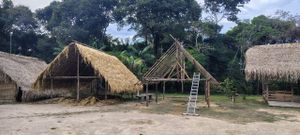 Manaus/AM - AJUDE A COMUNIDADE DOS CIPIÁS A RECONSTRUIR SUAS ORIGENS