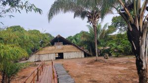 Crowdfunding - AJUDE A COMUNIDADE DOS CIPIÁS A RECONSTRUIR SUAS ORIGENS