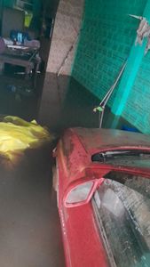 Vaquinha Online - Ajude minha família a recomeçar a vida do zero