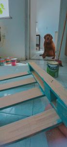 Saúde e Emergências - Roubei uma manga 