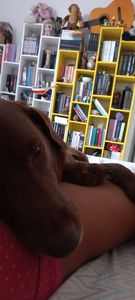 Micka  - Roubei uma manga 