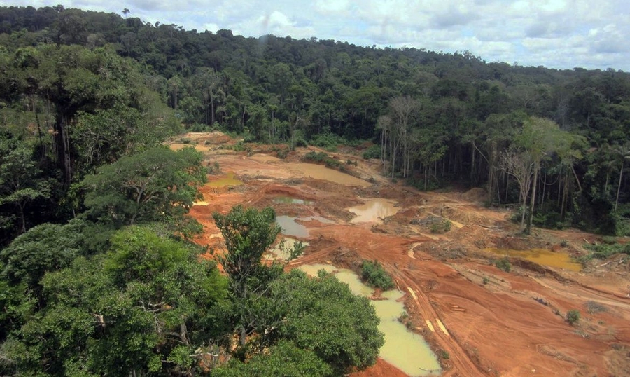 São Paulo/SP - "Abrace a Amazônia: Salve Nossos Animais em Extinção"