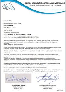 São José dos Pinhais/PR - CIRURGIA PARA PEQUENA KIARA