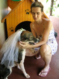 Animais - Ajude a tutora da Gwen e do Gethin