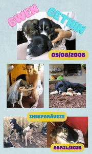 Ajuda para a tutora da Gwen e do Gethin - Ajude a tutora da Gwen e do Gethin