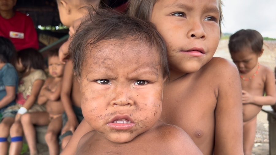 Anna Luisa Beserra - Filtros de Água para a Comunidade Yanomami: Garantindo Acesso à Água Potável e Prevenindo Doenças