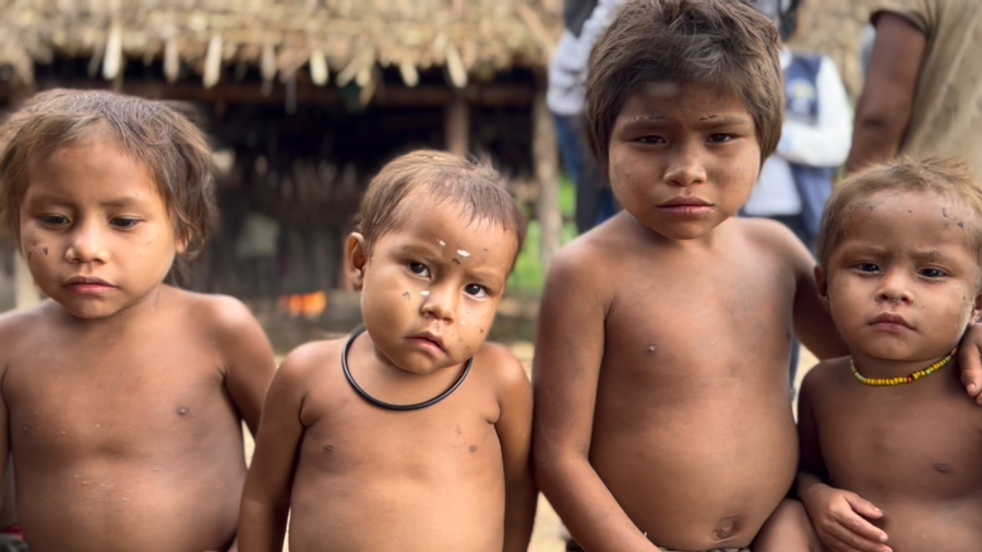 Vaquinha Online - Filtros de Água para a Comunidade Yanomami: Garantindo Acesso à Água Potável e Prevenindo Doenças