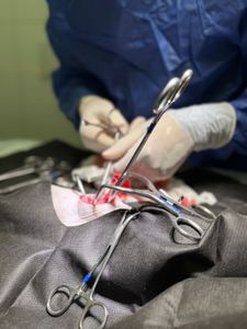 Ajude a Alice  imagem 6