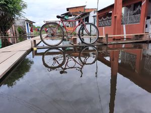 MOBPHOTO PRODUTOS imagem 7