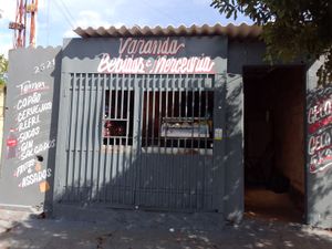 Dia de Doar - Ajude a realizar meu sonho