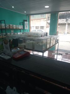 Empreendedorismo e Pequenos Negócios - Ajudar nossa loja a expandir para um centro comercial