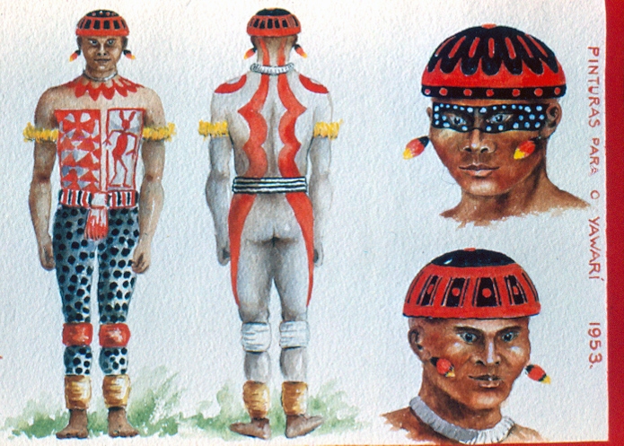 Kozák e os Índios do Brasil - O livro imagem 10