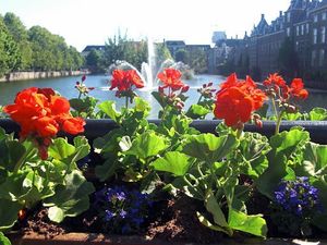 Crowdfunding - Estação Fonte de Vida - Programa "Na Estação"